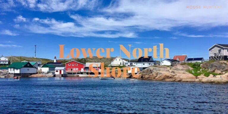 sydney real estate success story