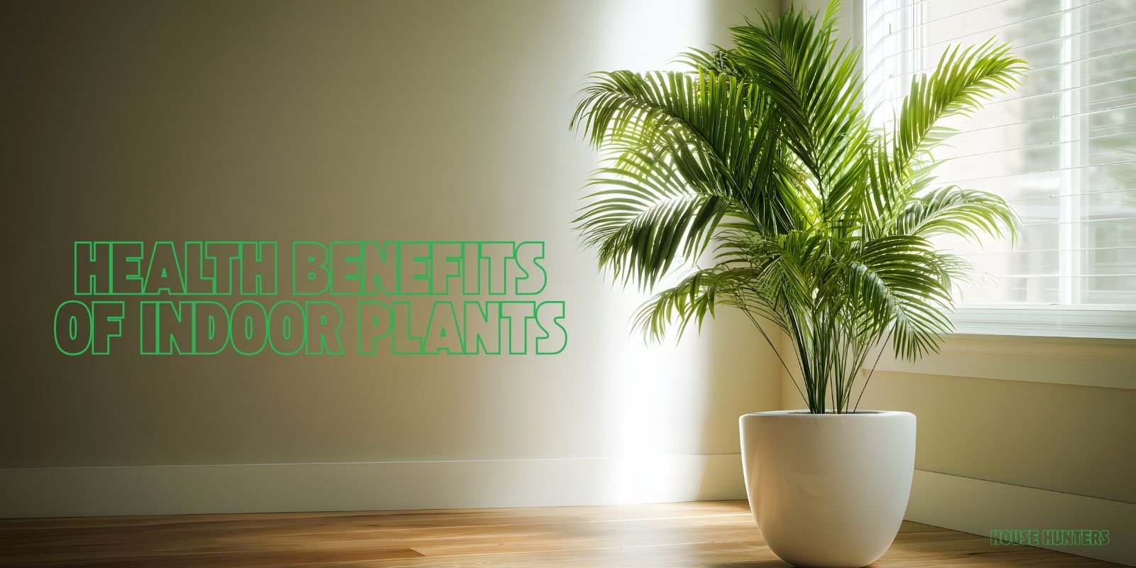 how to care for indoor plants