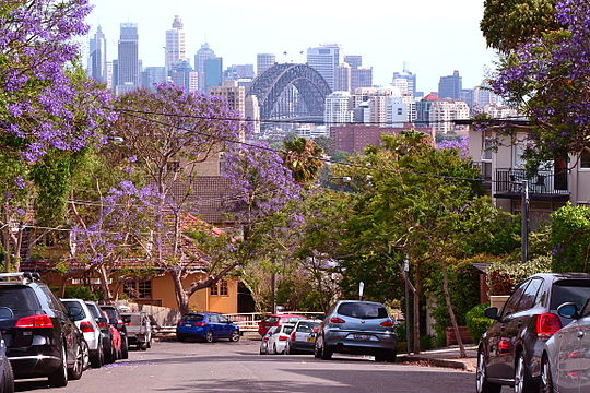 neutral bay suburb profile