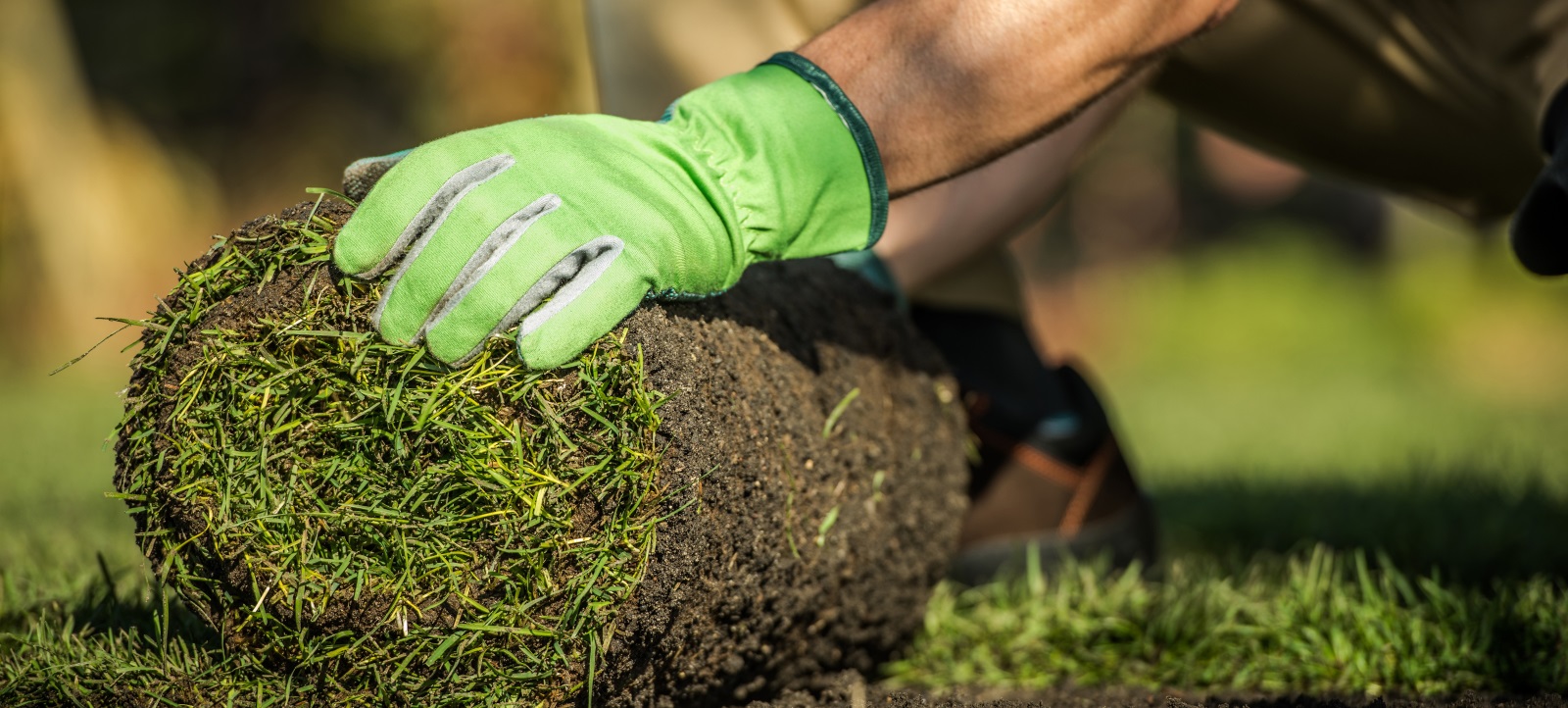 Excellent Backyard Trends